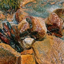 Vicente Burrell - Rio Rojo